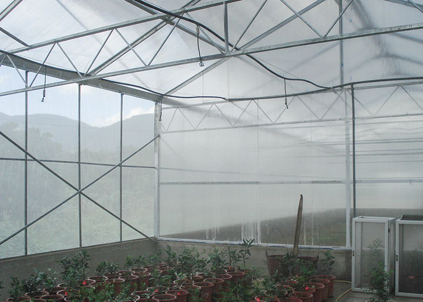 Single Span Polycarbonate PC Sheet Greenhouse With Shading System