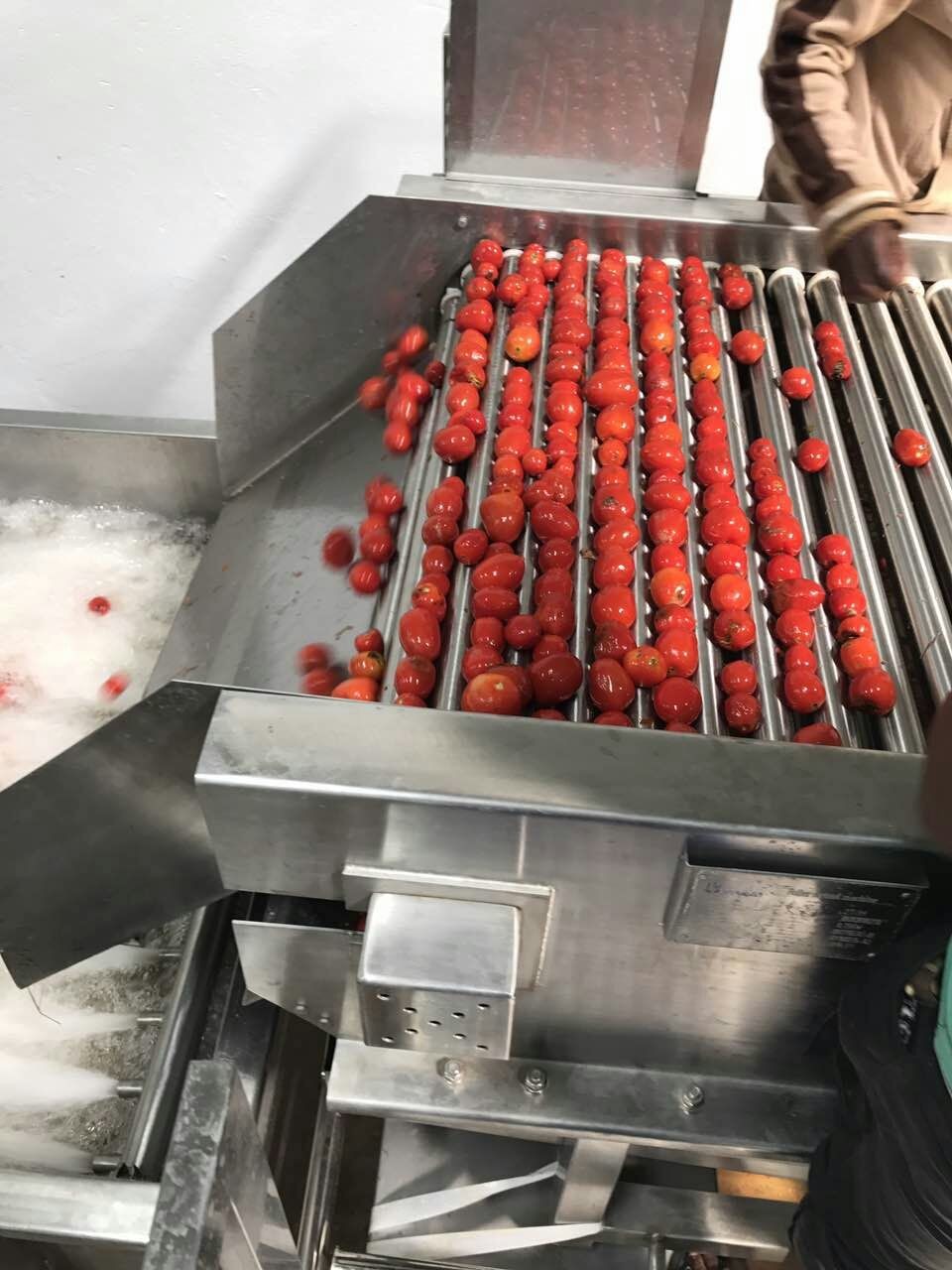 2TPH Tomato Paste Processing Line