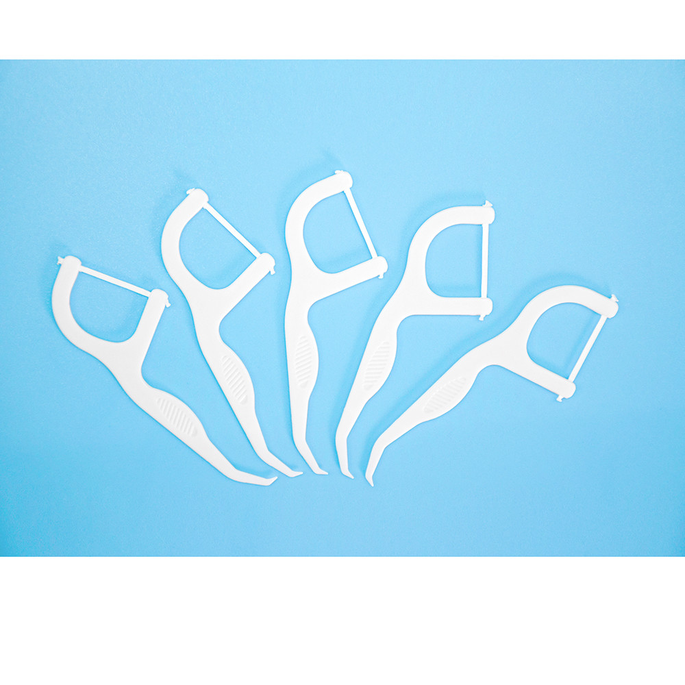 Factory Price Oral Care Eco Friendly Advanced Clean Toothpick Dental Flosser Pick For Home Travel Hotel Use
