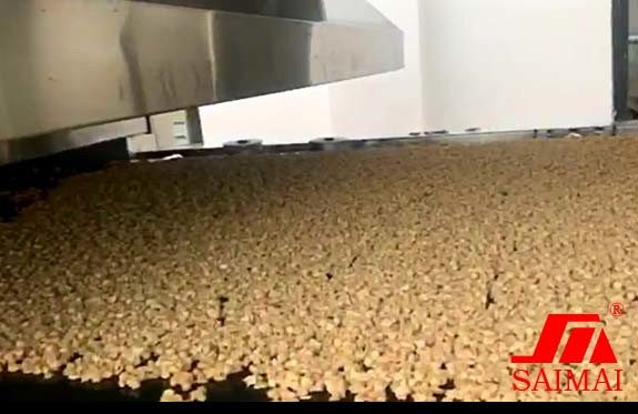 Continuous 1000 Kg/H 220V Potato Chip Granola Production Line