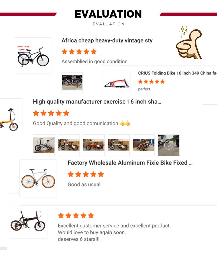 EU Warehouse Stock E-Bike High Speed Folding Electric Bicycle With Custom Logo Pattern