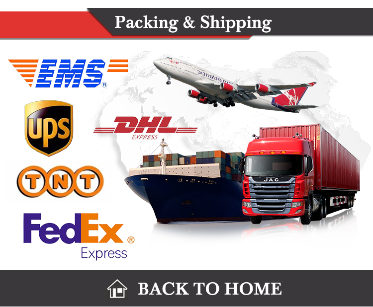 Zontop 20ft 40ft 2 Bedroom 3 Bedroom Flat Prefabricated Container House Container House Prefabricated Homes