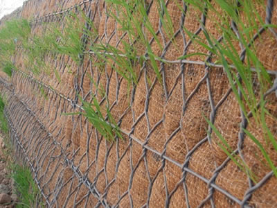 Galvanized Iron Wire Hexagonal Gabion Stone Baskets for TT/Western Union Payment Term