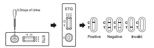 Panel Ethyl Glucuronide Drug Test ETG Urine Test Kit 500Ng/ML 1000Ng/ML