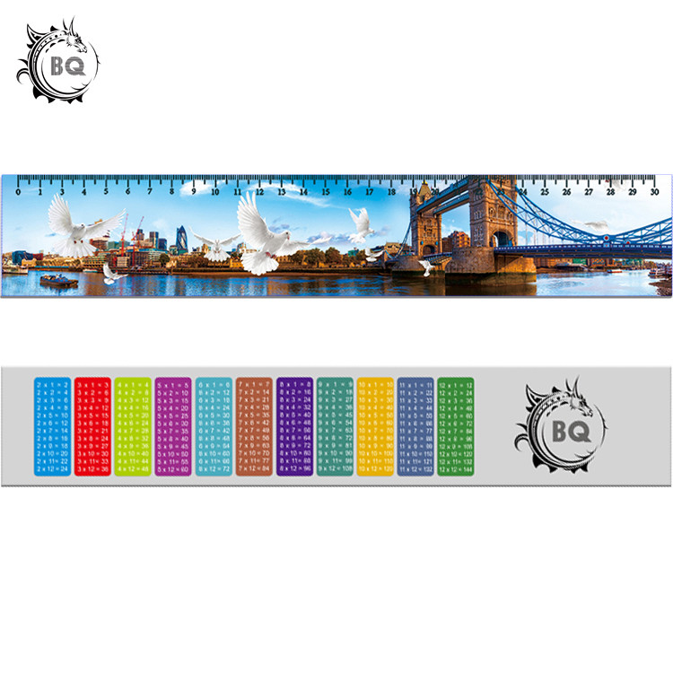 Deep Images 3D Dolphin Cartoon Scale Lenticular Photo Printing / PET Plastic Straight Ruler