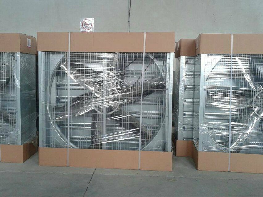 hot dip galvanized industrialexhaust fan ventilation for pig cow farm