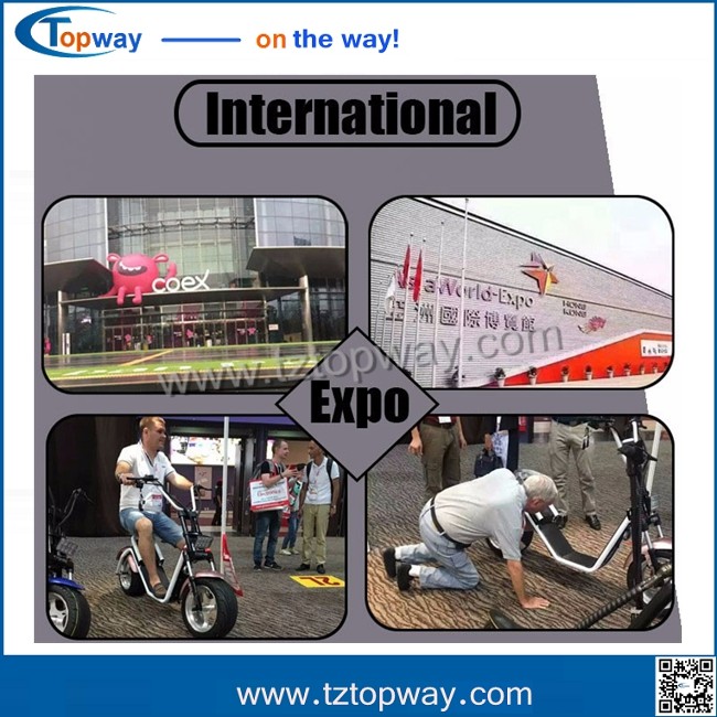 citycoco/seev/woqu 1000w with battery can be removed 18*9.5inch big tyre