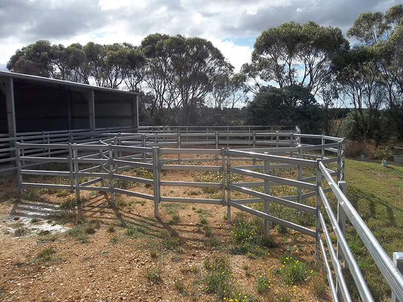 50' HORSE ROUND PEN ARENA CORRAL PANELS