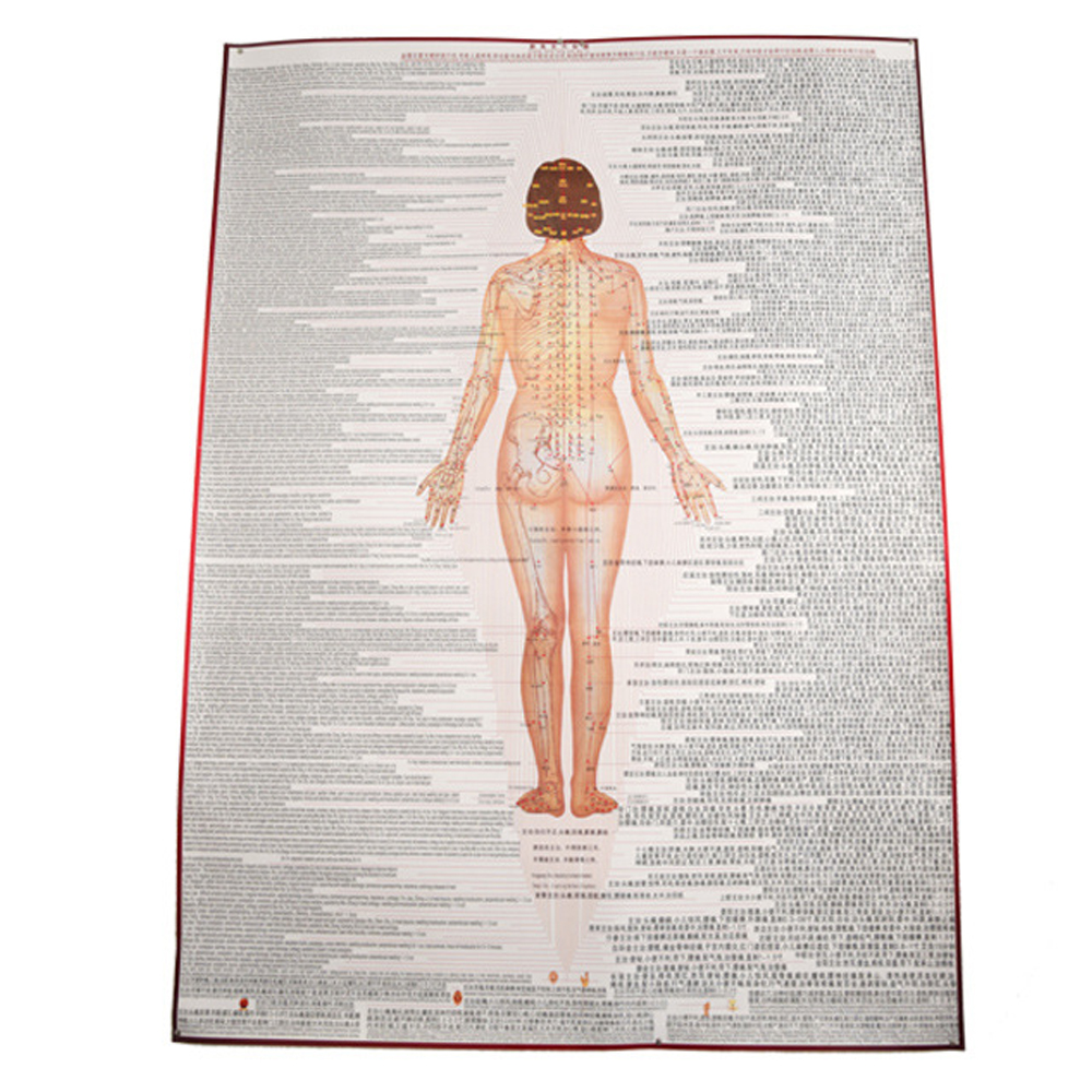 Body Meridian Acupuncture Culture Modern Acupuncture And Embedding Point