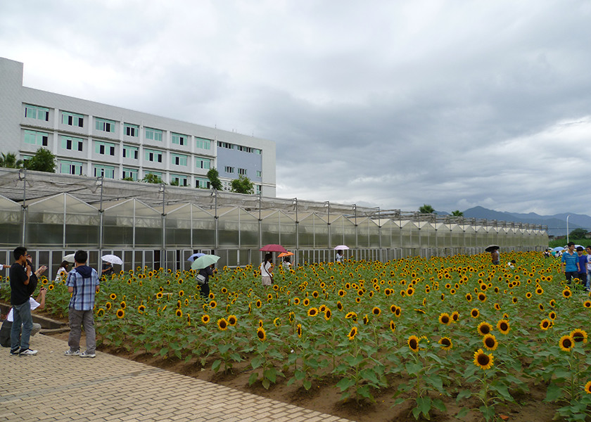 UV Resistant, Temperature-Regulated PC Greenhouse With Large Ventilation Areas - Perfect For High Value Plants