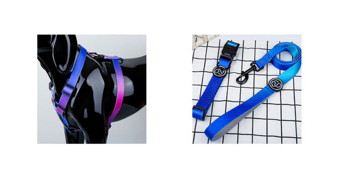 Polyester cute dog leash and collar set Anti Break Metal Buckle Lable With Handle