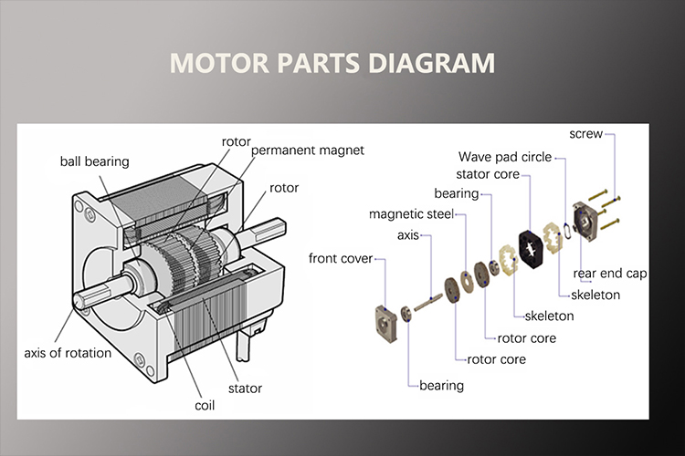 Faradyi Custom Factory Price Threaded Shaft Lead Screw Hybrid Stepper Motor With Nut 20mm Linear Stepper Motor