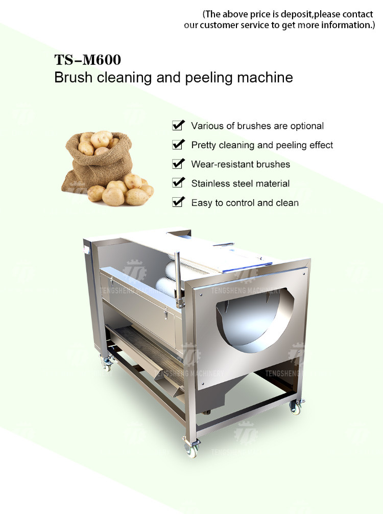 Root Veg 1.5KW Commercial Potato Washer , Kiwifruit Lotus Root Potato Peeler Machine