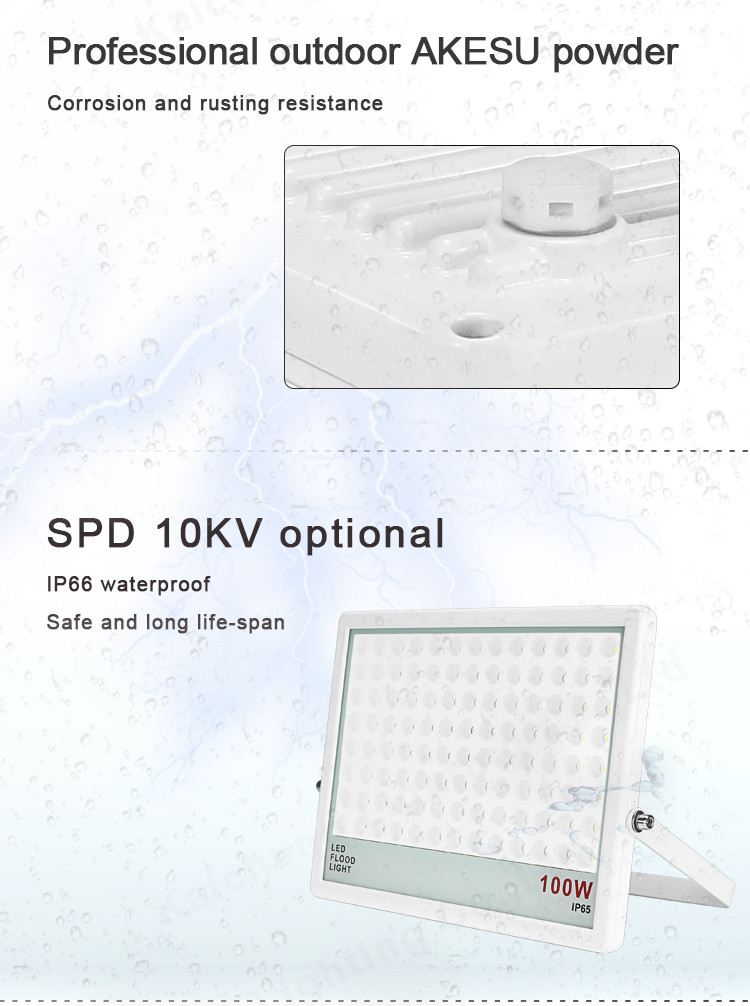 Stadium RGB Outdoor LED Flood Lights 10w 20w 100w Cold White Floodlight