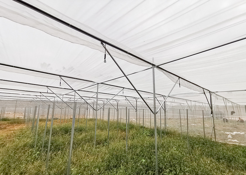 Horticultural Insect Net House Steel Frame For Flower Cultivation