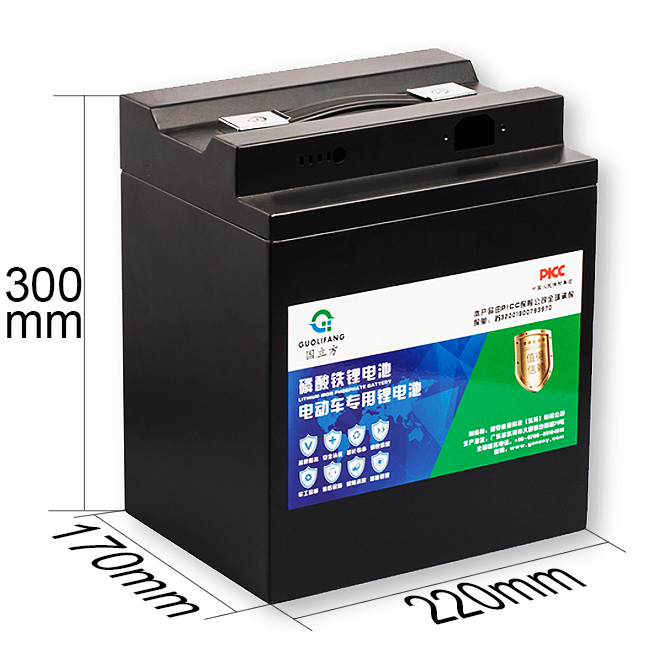 Electric 48V Motorcycle Battery , Handheld Lithium Ion Battery For Motorcycle
