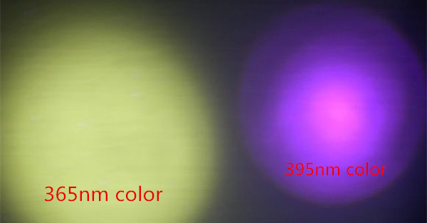 365nm 395nm color.jpg