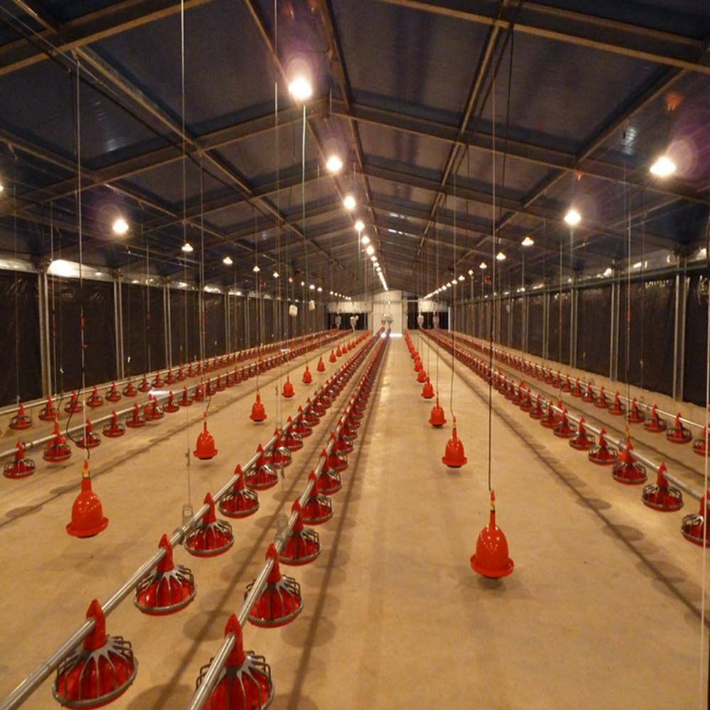 Fireproof Steel Structure Poultry House Automated Ventilation Steel Frame Chicken Coop
