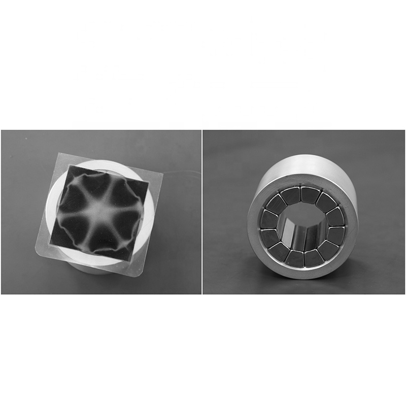 Industrial 1800-2000Gs Custom Permanent Magnetic Assembly Strong Ndfeb Stator