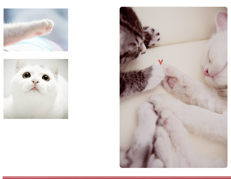 Gel Wrist Rest Kitty Paw Mouse Pad Fatigue Free Ergonomic Design