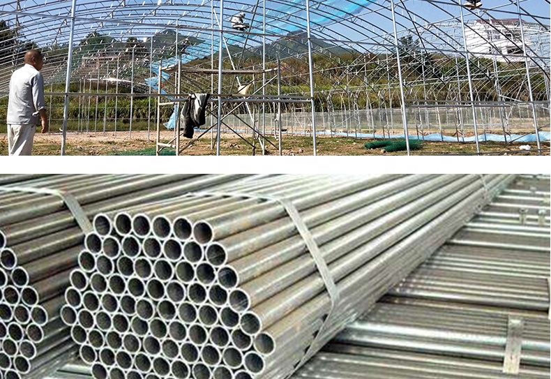 Multi-Span Greenhouse Film Customized for UV Protection and Optimal Growing Conditions