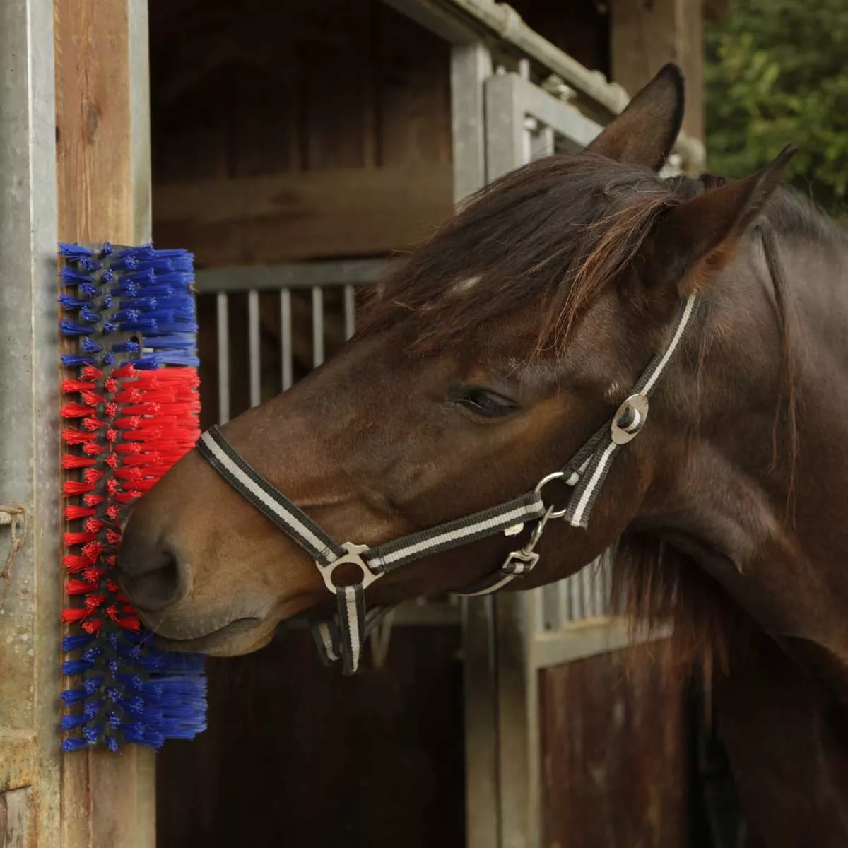 Spinning Livestock Scratching Brush Cow Cleaning Brush For Parasites
