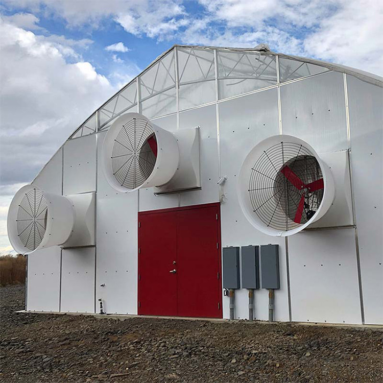 Automated Single Span Tunnel Medical Growing Automatic Blackout Greenhouse With Blackout System