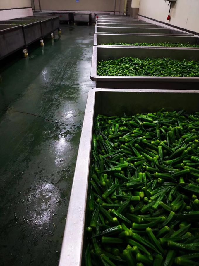 VF-200 30kw Durable Okra Automatic Fryer Machine , Fruit Chips Making Machine