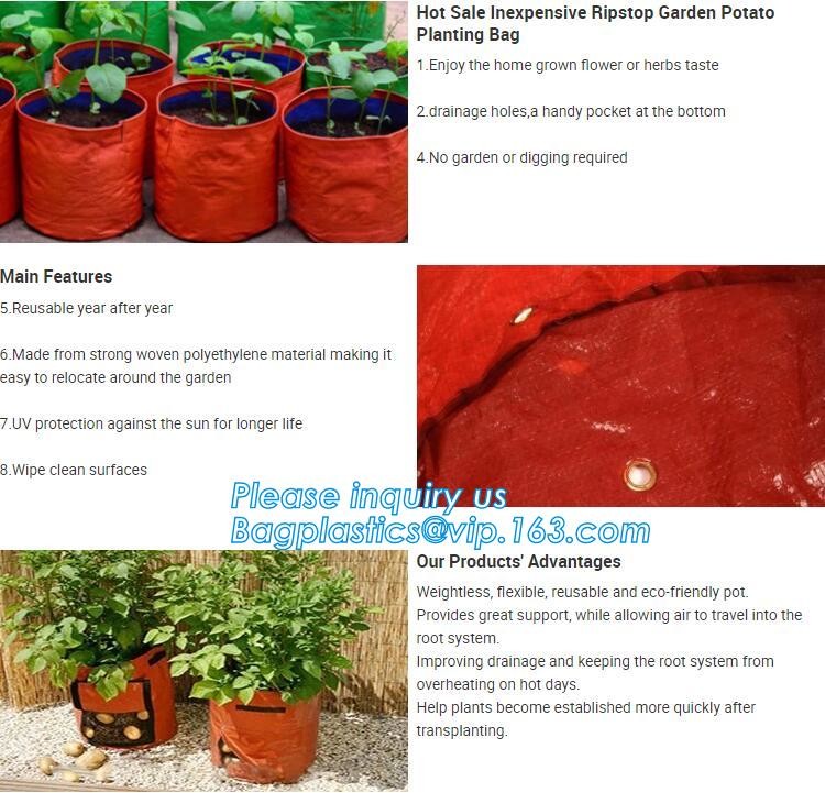 1 gal 2 gal 3gal 5gal 10gal black plastic grow planting greenhouse vegetable nursery bags,garden plant growing bag, bage