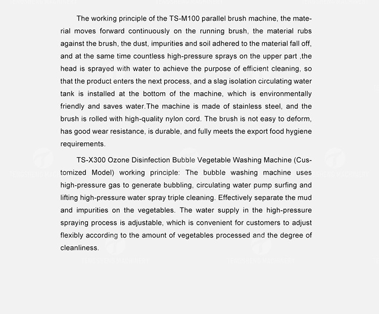 SS 380V Industrial Vegetable And Fruit Washing Machine
