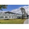 Buy cheap Large Size Glass Multi Span Greenhouse Structure Agricultural Tomato Farming from wholesalers