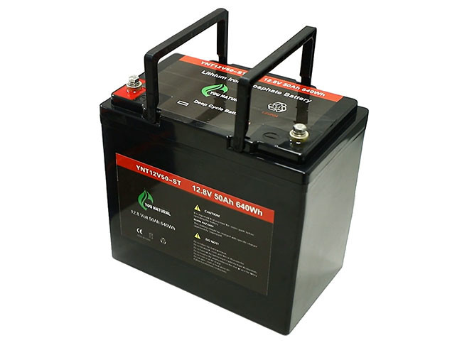 Rechargeable 12V LiFePo4 Battery OEM ODM 12.8v 50ah Lithium Ion Battery Cell