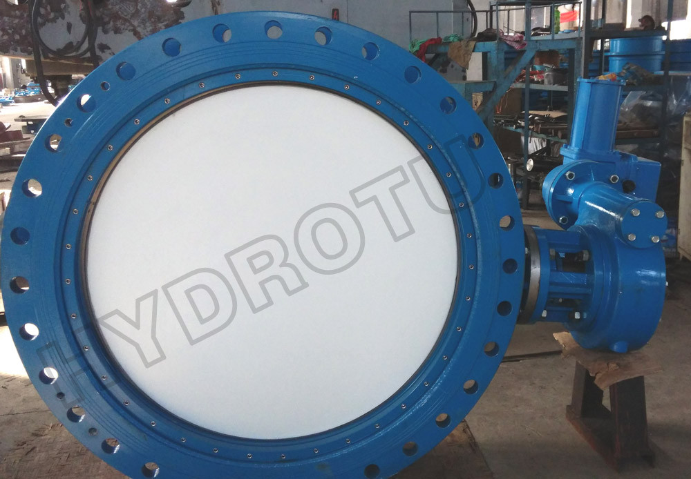 Gear Operated Flanged Butterfly Valve 1000mm for Hydropower