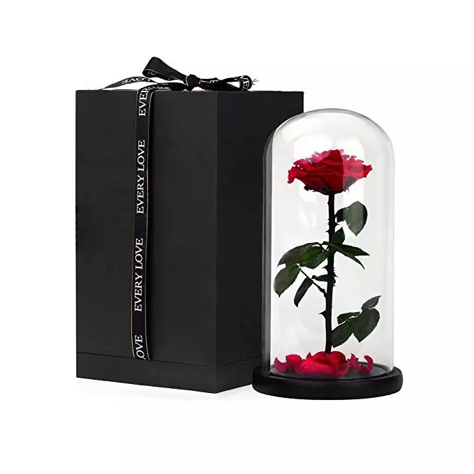 Real Preserved Rose in Glass Dome use for Office gift or Home Decoration