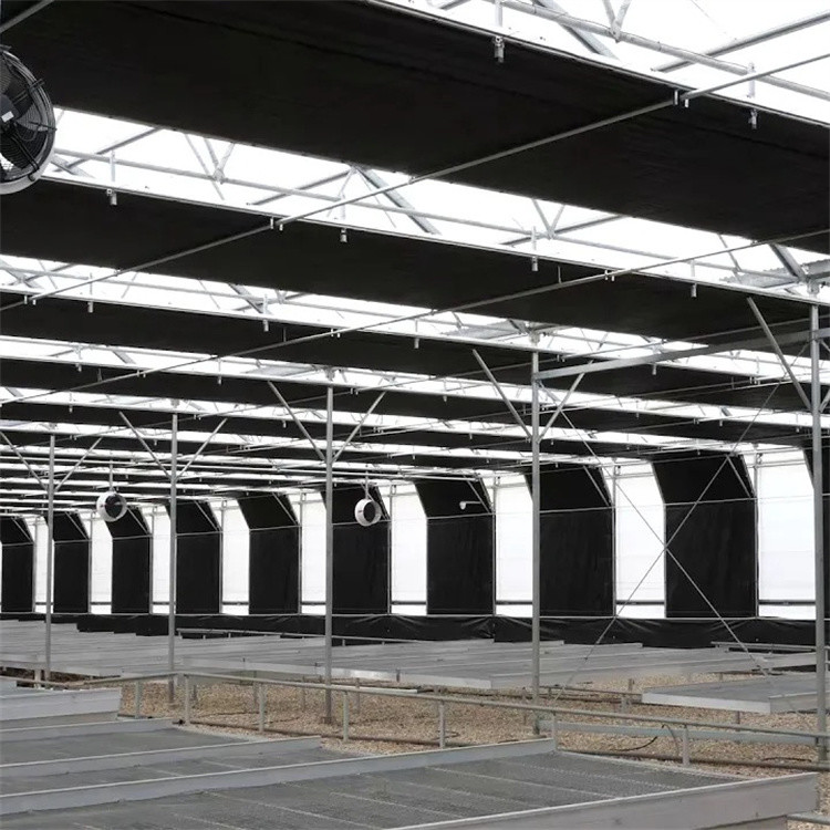 Agricultural Automated Plastic Tunnel Greenhouse Agriculture Tomato Growth