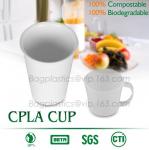 16 oz PLA compostable coffee paper cup with CPLA compostable lid,100% compostabl