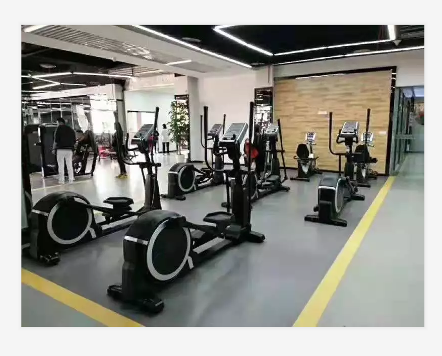 Home Gym Equipment Cross Trainers Outdoor Stepper Cardio Training