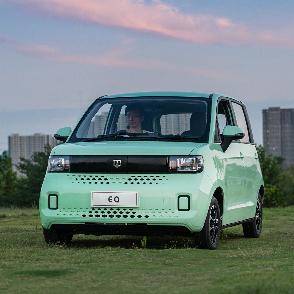 Blaval Small Electric Vehicle 300km 2-Door 2-Seat Car Design Made In Solar Energy Mini Electric Car R14 Tire Size