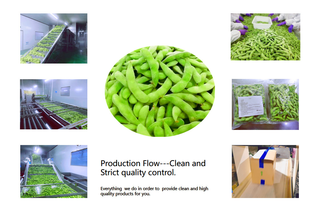 4cm Length Frozen Edamame Pods IQF Whole Food Plant Based A Grade