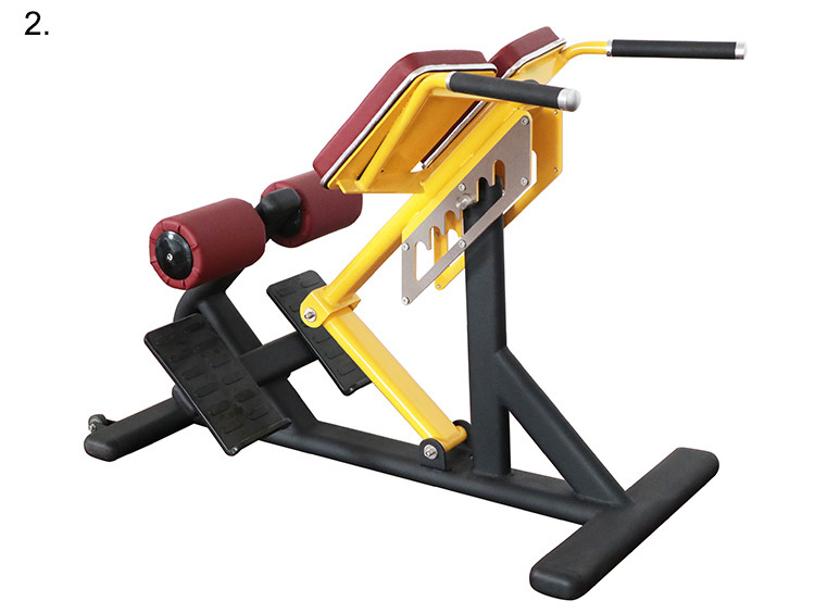 Pro Commercial Gym Rack And Fitness Equipment Roman Ab Exercise Chair