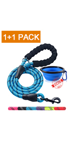 dog leash