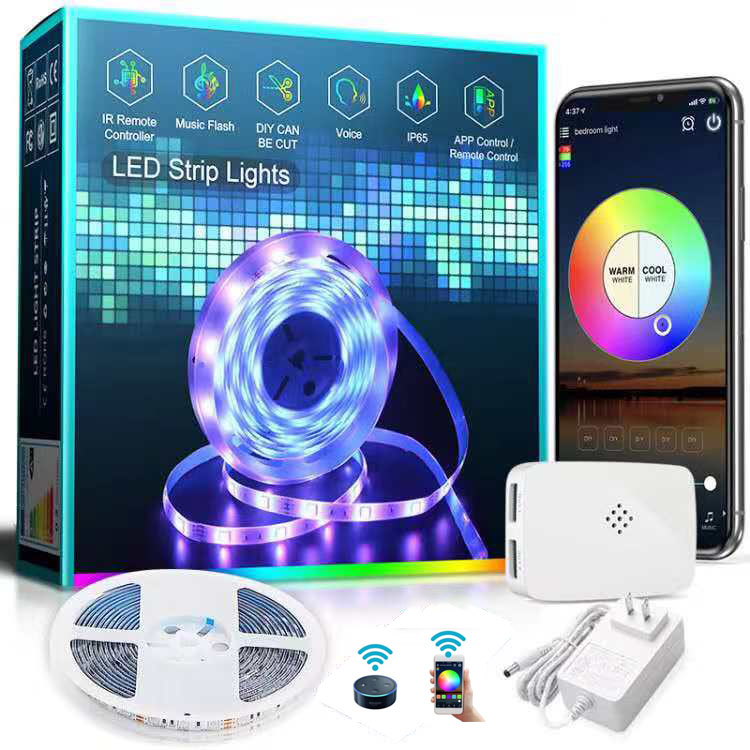 DC12V App Remote Rgb Rgbic Led Light Strip Light Waterproof Programmable