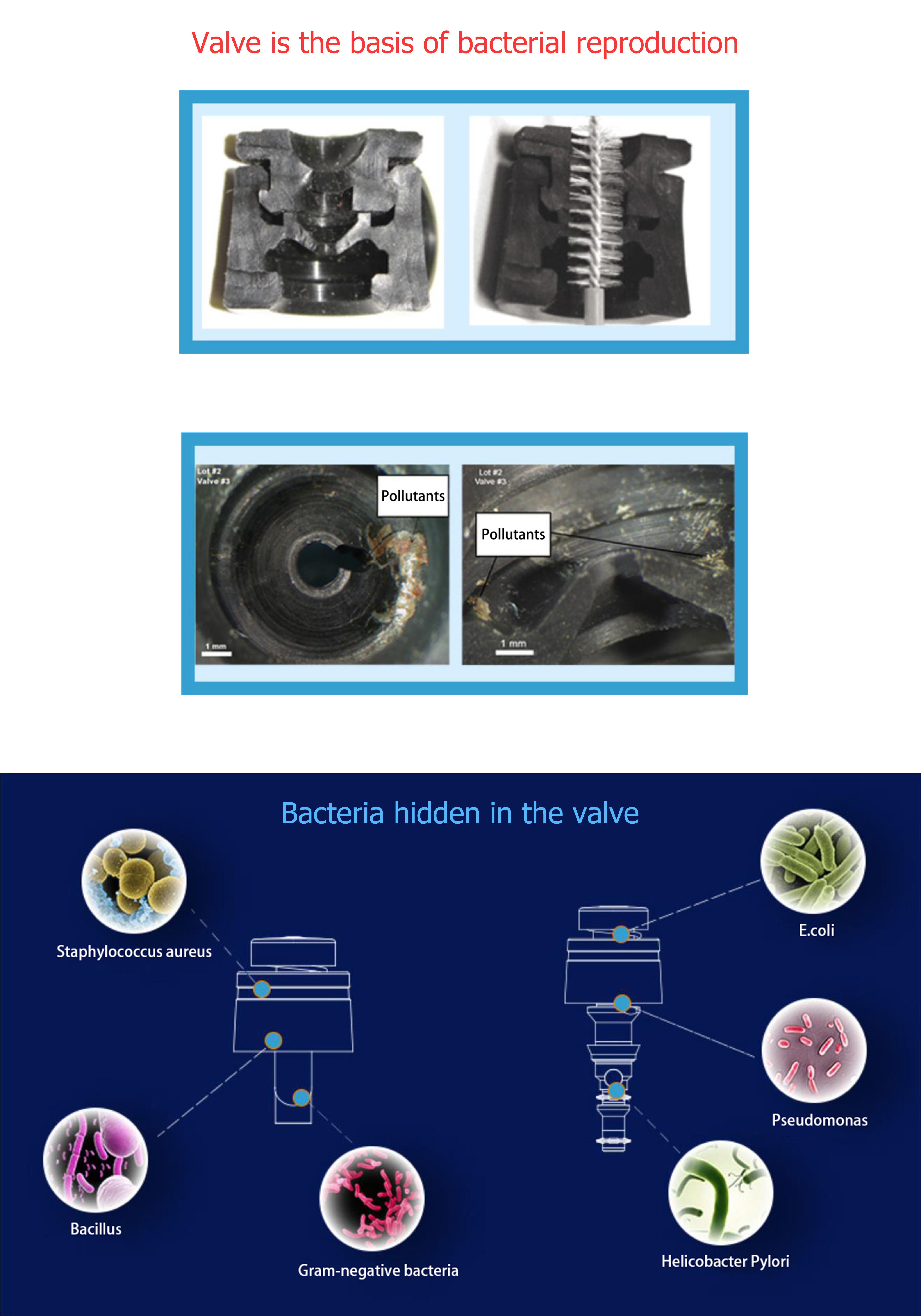 Medical ABS Disposable Biopsy Valves Endoscope