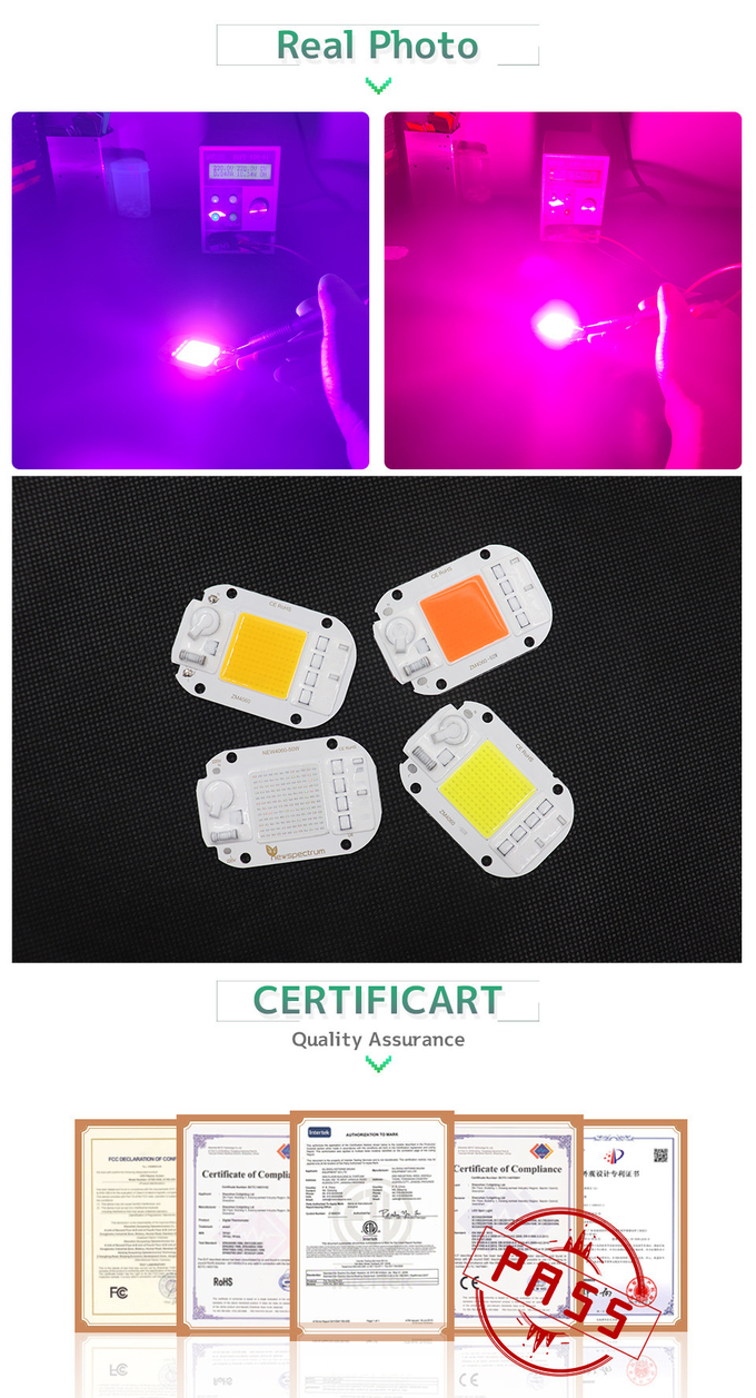 Thermal Resistance 50w Cob Led Chip 50HZ For Spotlight Floodlight