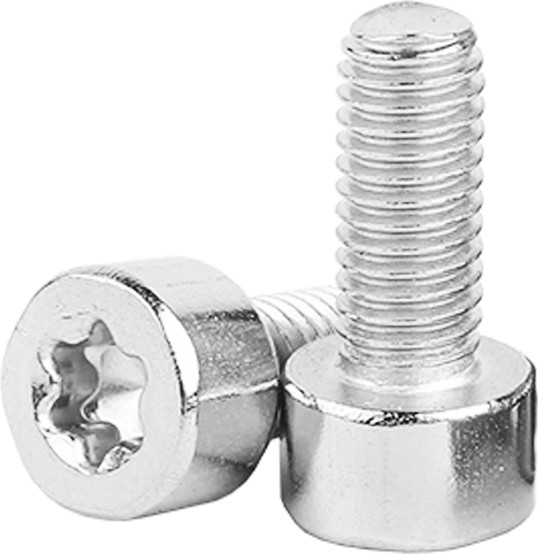 GB2670.1 High Performence Round Head Inner Torx Self-Tapping Screw For Bike