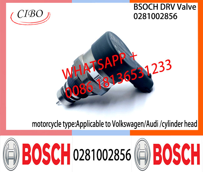 BOSCH DRV Valve 0281002856 Control Valve 0281002856 for Applicable to Volkswagen/Audi /cylinder head