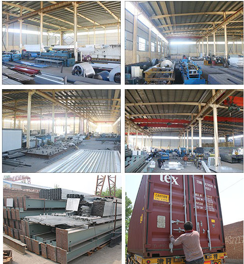 XDEM Steel Structure Warehouse Production Workshop Chicken And Poultry Farm