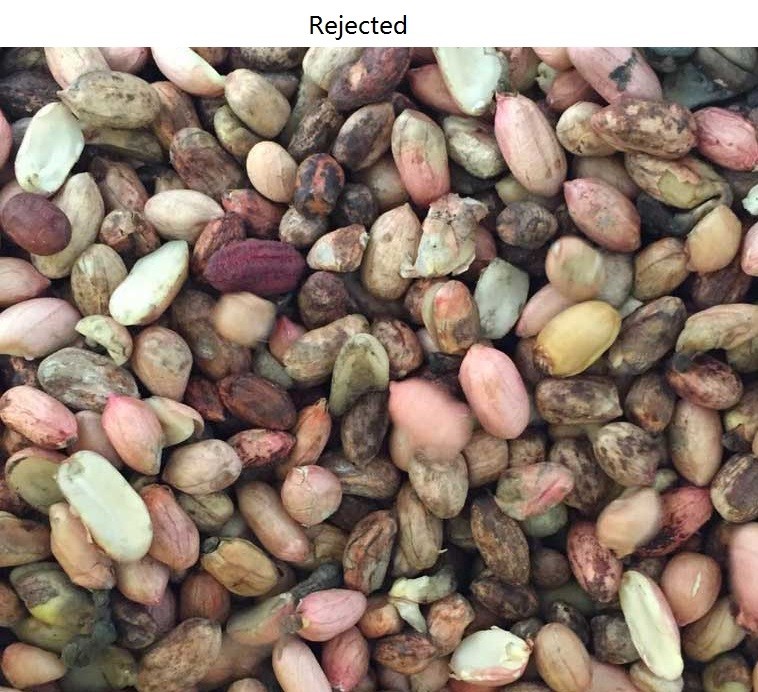 16tph RGB Camera Peanut Color Sorter