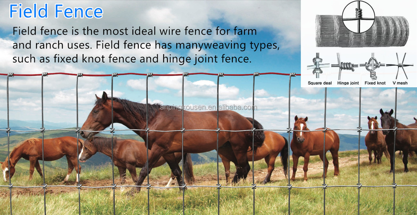 Pressure Treated Wood Type Field Fence for High Tensile Goat/Cow/Deer Fence on Farm