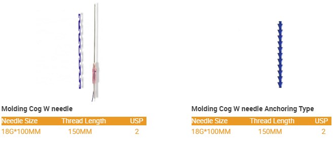 PDO Thread Lift